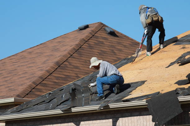 Best Roof Insulation Installation  in Rushvle, IL